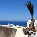 DSC05517
