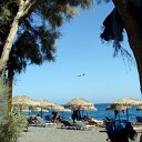 DSC05552