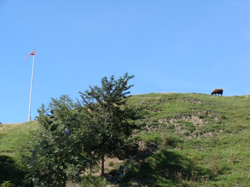DSC03361