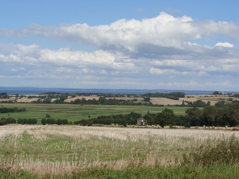 DSC03363