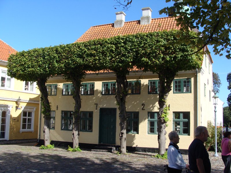 DSC03370