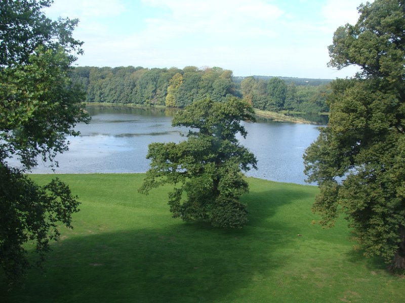 DSC03385
