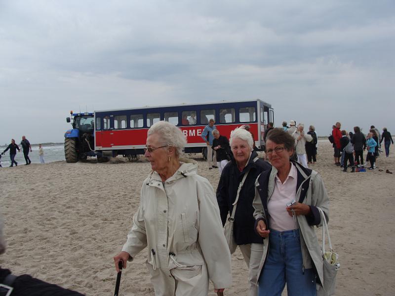 DSC01420.JPG - Sandormen på "Grenen"