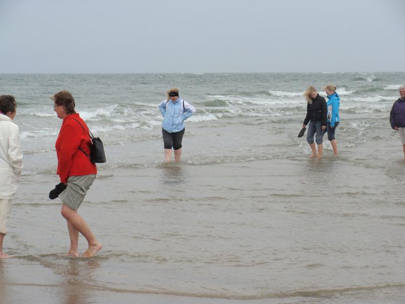 DSC01424.JPG - "Grenen"