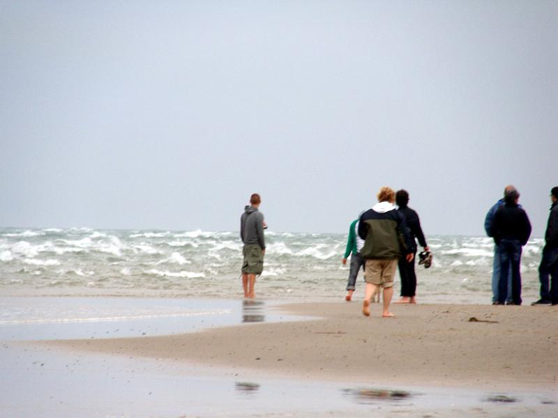 DSC01427.JPG - "Grenen"