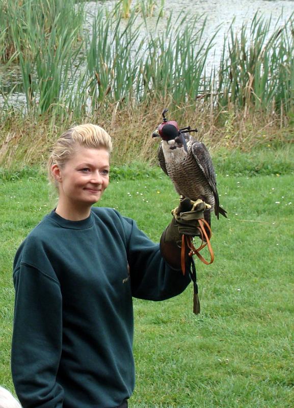 DSC01441.JPG - Ørnereservatet
