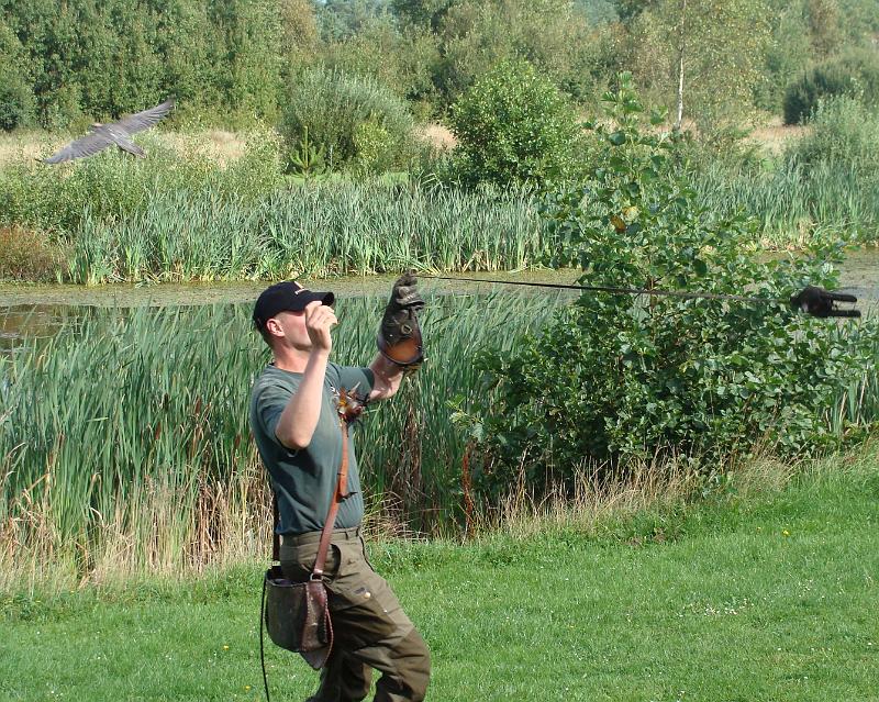 DSC01447.JPG - Ørnereservatet