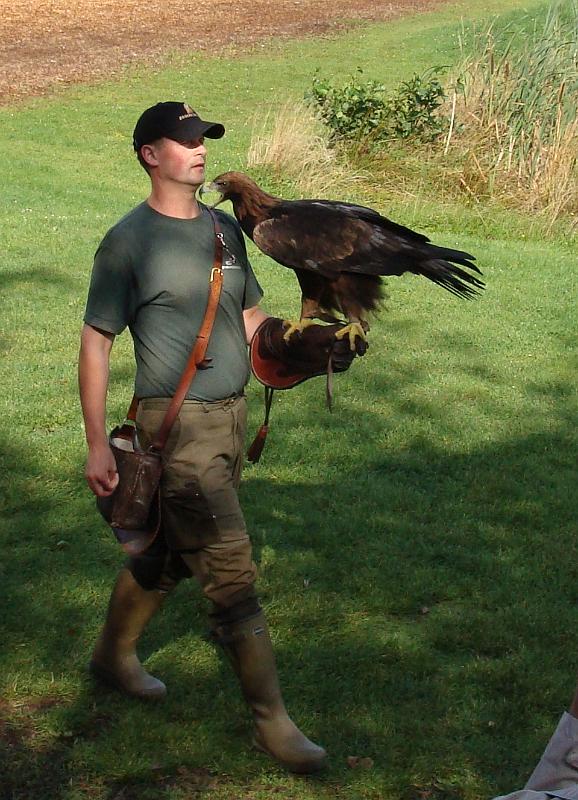 DSC01467.JPG - Ørnereservatet
