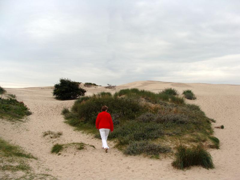 DSC01538.JPG - "Råbjerg Mile "