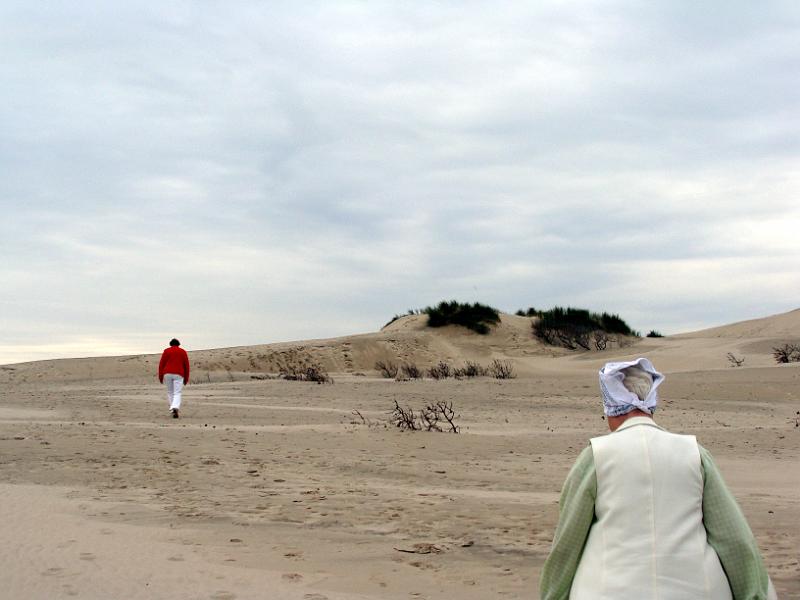 DSC01540.JPG - "Råbjerg Mile "