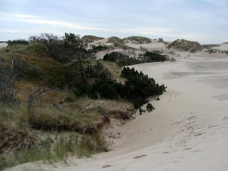 DSC01541.JPG - "Råbjerg Mile "