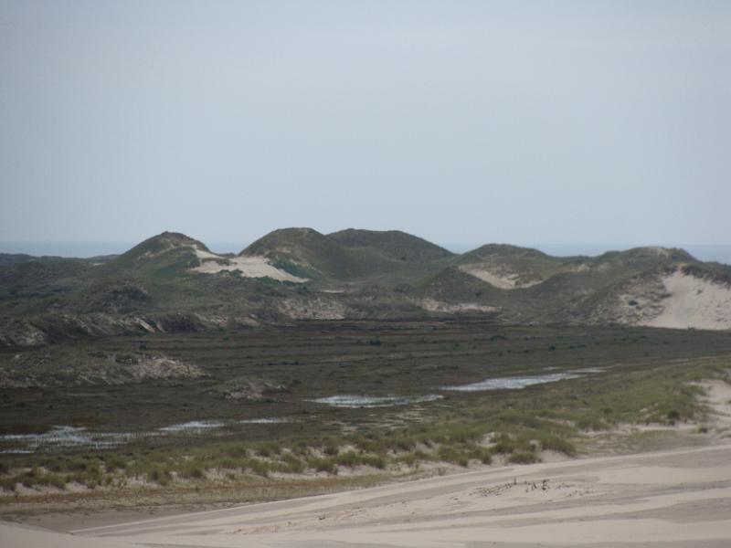 DSC01545.JPG - "Råbjerg Mile "