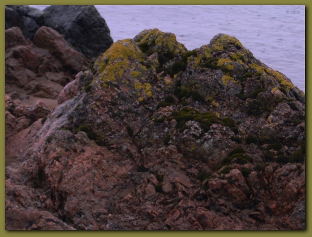 600x449 pixels (119K)