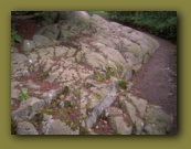 Bornholm 2005