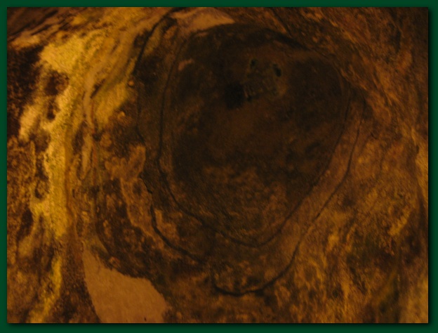 600x449 pixels (96K)