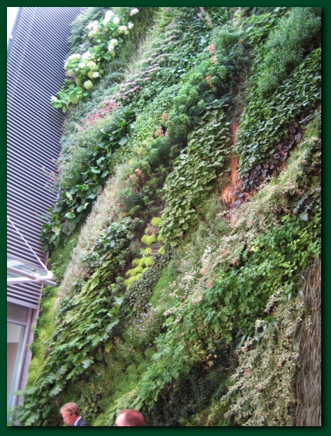 450x599 pixels (200K)