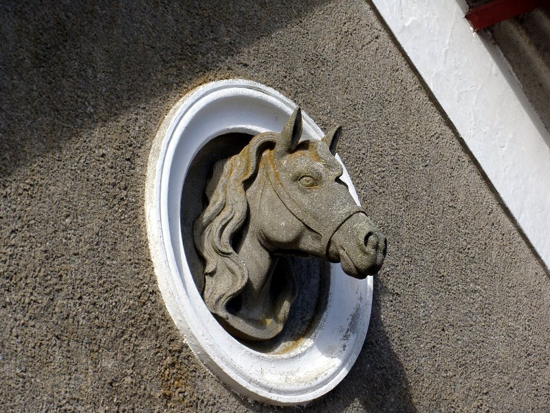 DSC04559.JPG