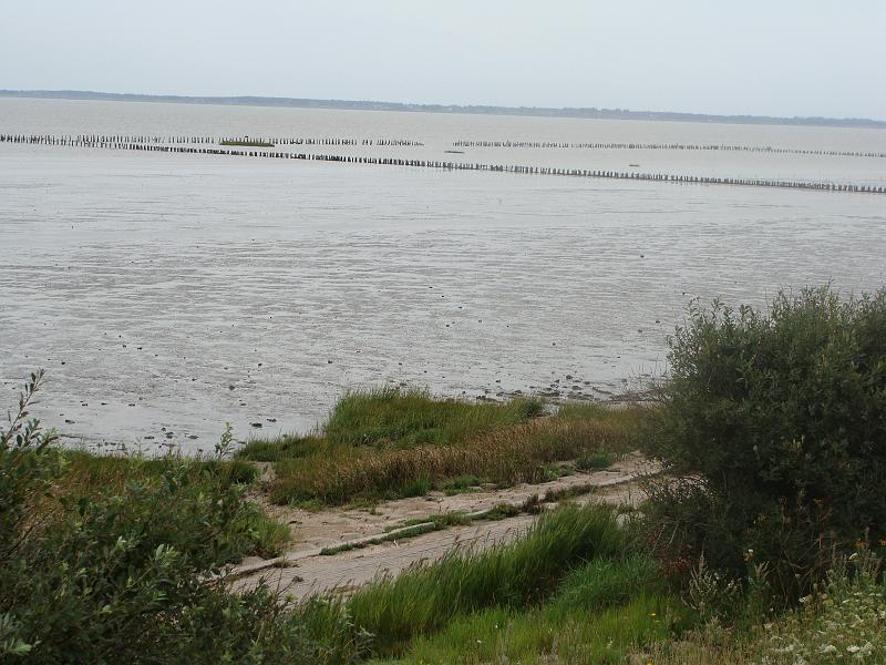 DSC00339.JPG - Rømø dæmning.