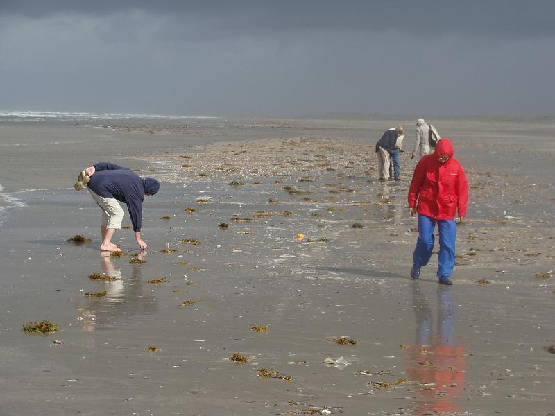 DSC00347.JPG - Fanø