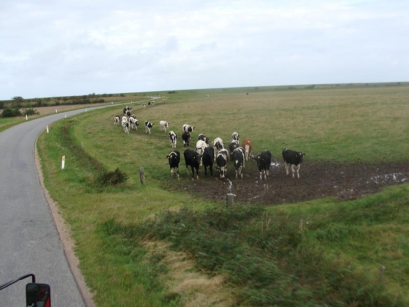 DSC00380.JPG - På til Manø.